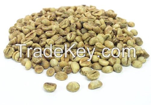 robusta coffee beans with high quality and best price