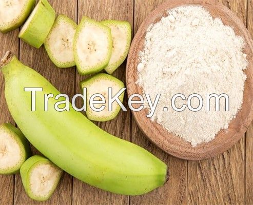 banana starch from vietnam with high quality and best price