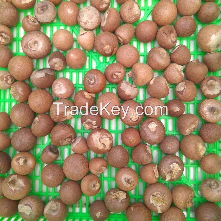 Betel Nuts/Areca Nuts Whole 60-65%