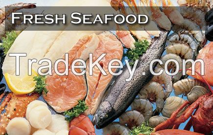 Fresh seafood