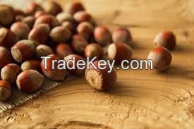 Hazelnuts in shell, nuts in shell, organic nuts