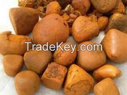 Dried Natural Ox/Cow Gallstone