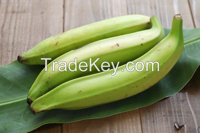 Green plantains