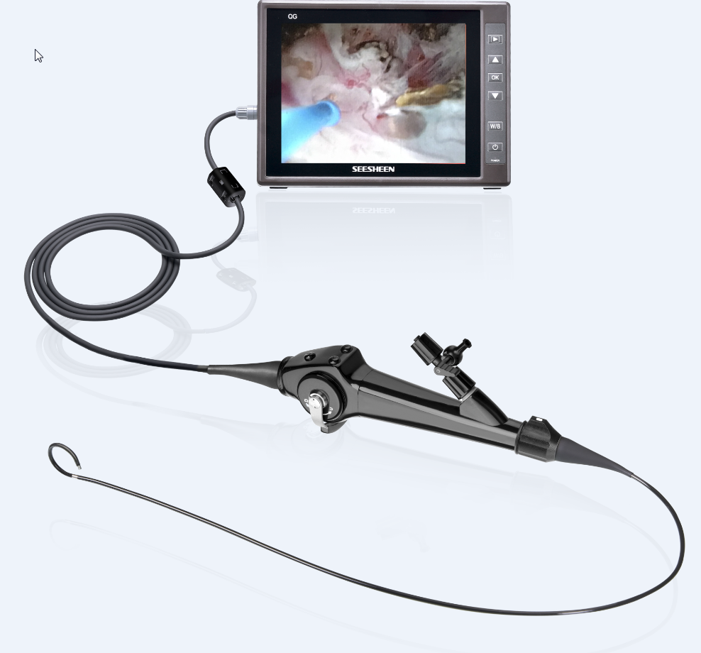 endoscope