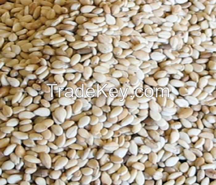 Sesame Seeds