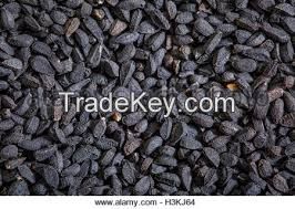 Black Caraway Seeds (Nigella Sativa)