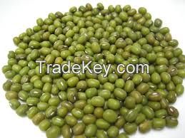 Mung Bean