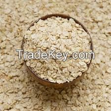 new high quality oats for sale