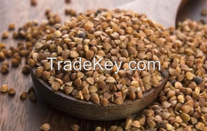 organic dried roasted buckwheat