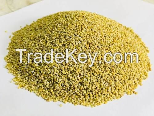 yellow millet for animal food feed