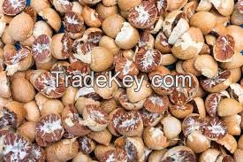 fresh betel nut for sale