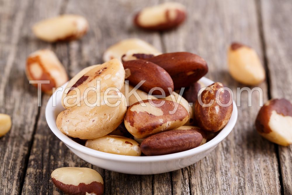 100% Pure Natural Peru High Quality Brazil Nuts