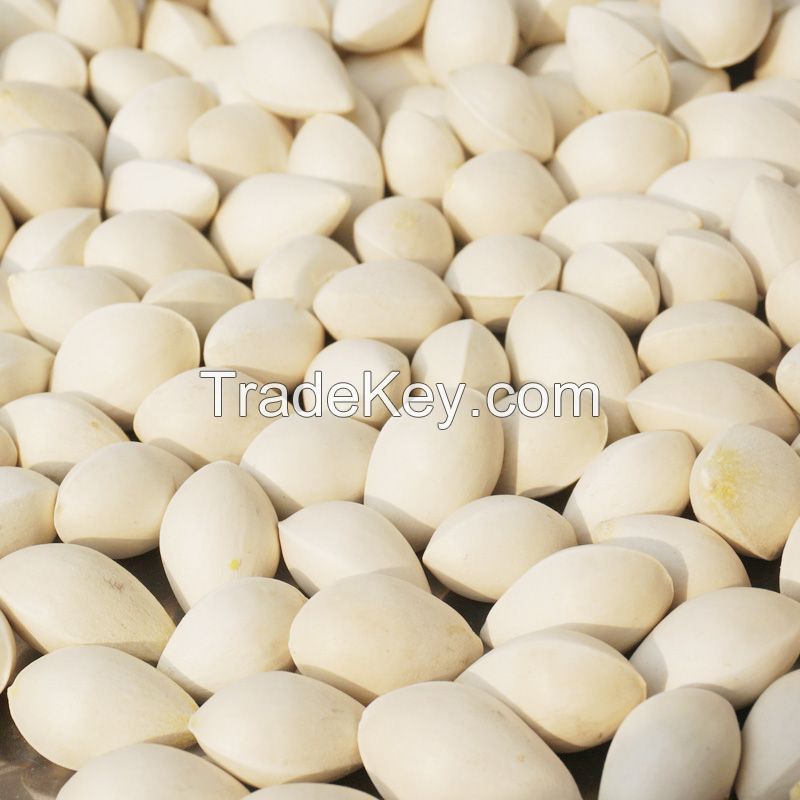 Best Price dried Quality Ginkgo Nuts For Sale