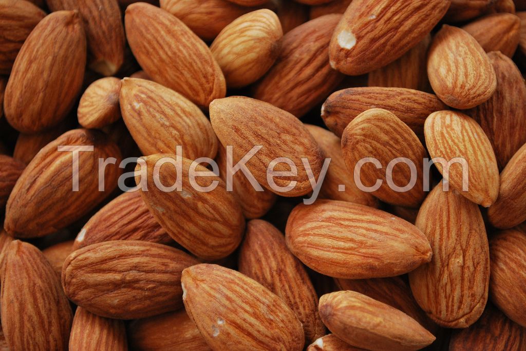 Best quality almond nuts in shell /almond without shell for sale