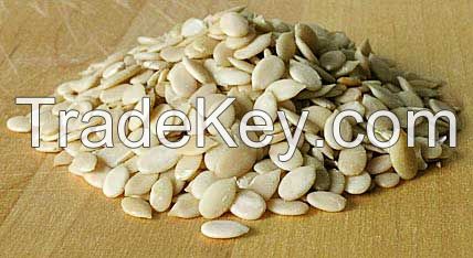 White Melon Seeds / High Quality White Melon Seeds Supplier