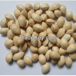 Best Grade High Quality Ginkgo Nuts