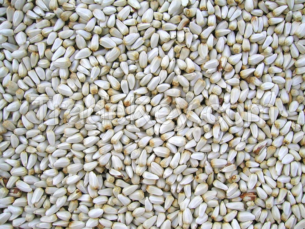 high quality Safflower seeds