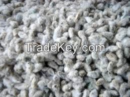 High Quality Cotton Seeds and Cotton Seeds Oil