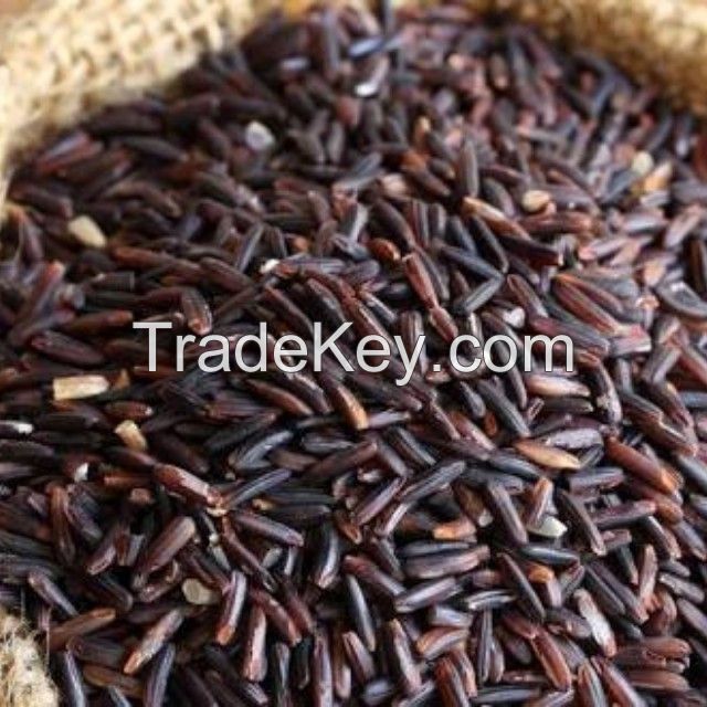 Top quality black rice