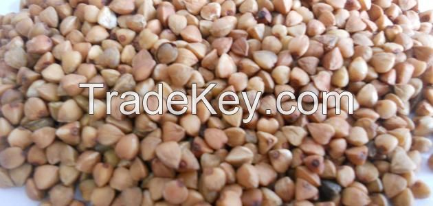 High quality sweet raw buckwheat