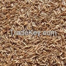 100% Natural and Pure Rye Grain