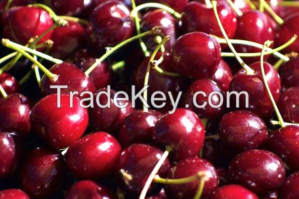 Sweet A grade fresh cherries