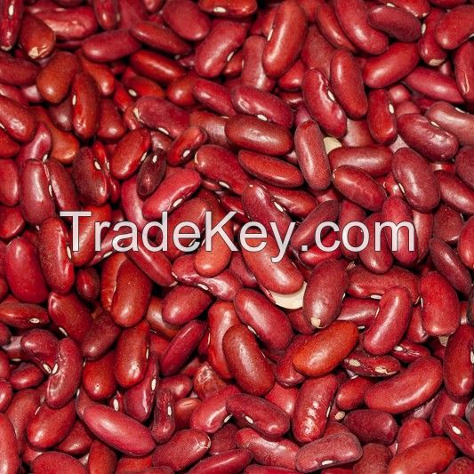 red kidney beans Organic