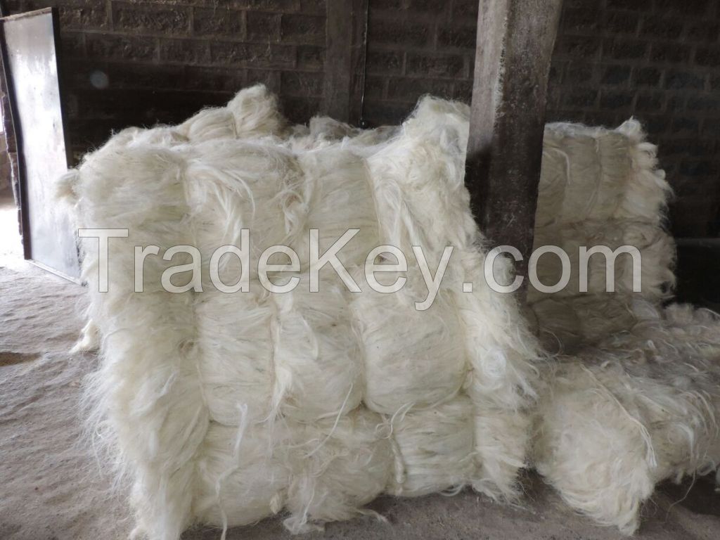 100% Raw Sisal Fiber For Sale