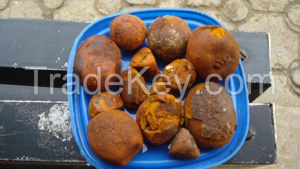 Ox Gallstones , Cattle Gallstones, Cow Gallstones