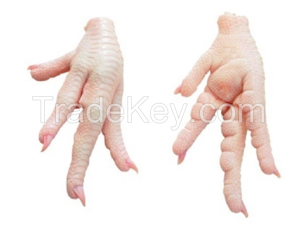 Cheap quality Frozen Chicken Feet & Paws for sale