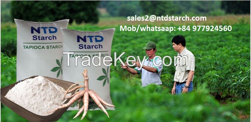Selling Native Tapioca Starch from Vietnam