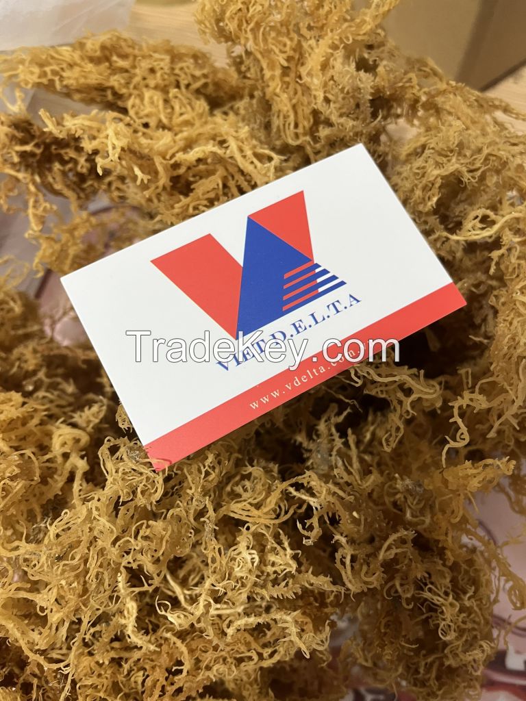 Dried Irish Moss/ Natural Sea Moss - High Quality - Healthy Food - Competitive Price