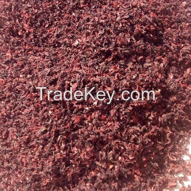 Sell Hibiscus Red Sorrel