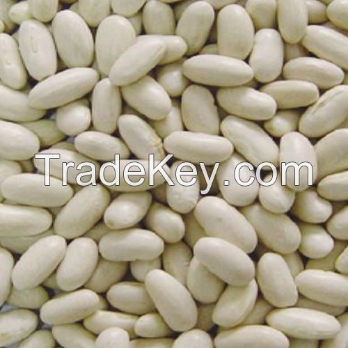 Light Speckled Kidney Beans /Pinto Beans/Sugar Beans for sale