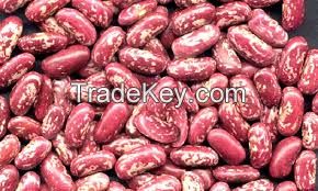 Affordable light speckled red kidney beans round shape