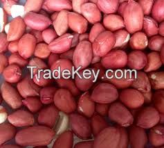 Raw Peanuts, Red Skin Peanuts, Bold Peanuts, 50/60, Ground Nut for export