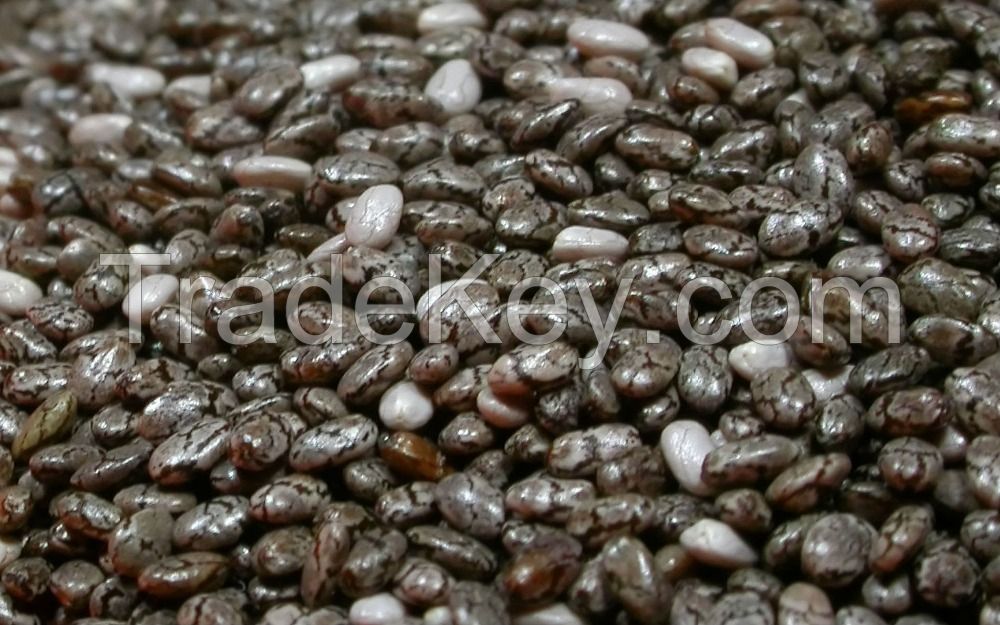 Chia seeds conventional for sale