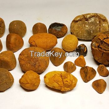 Whole Cow/Ox Gallstones