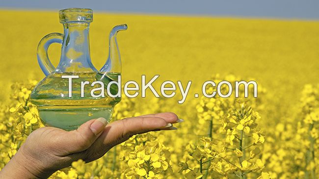 Canadian 100% Pure Rapeseed Oil