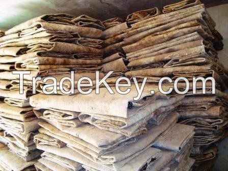 Best Grade Donkey hides / Wet salted Donkey / Cow Skin / Dry salted Cow hides..