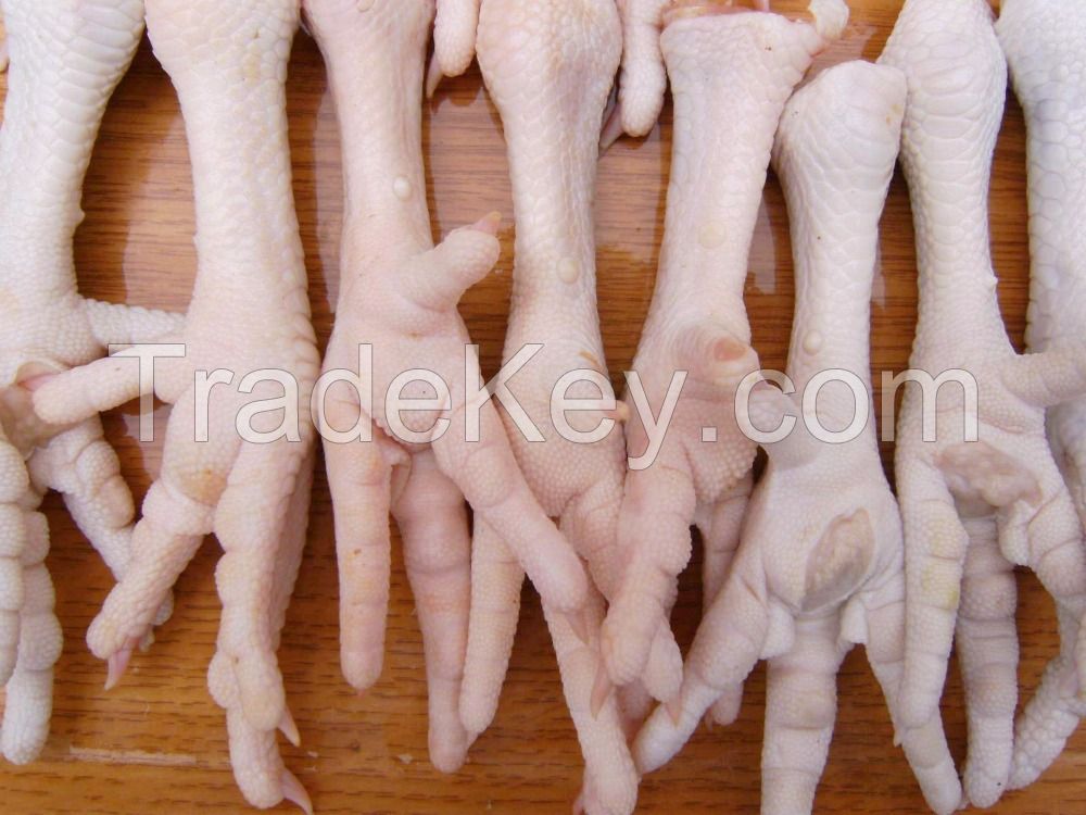 Best Class ! Brasil Origin Halal / Fresh / Frozen / Processed Chicken Feet / Paws / Claws