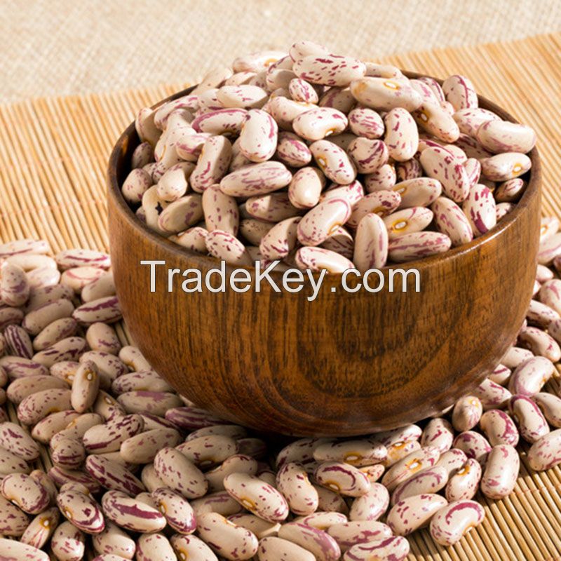 Cheap Price Light speckled kidney beans in Bulk for sale