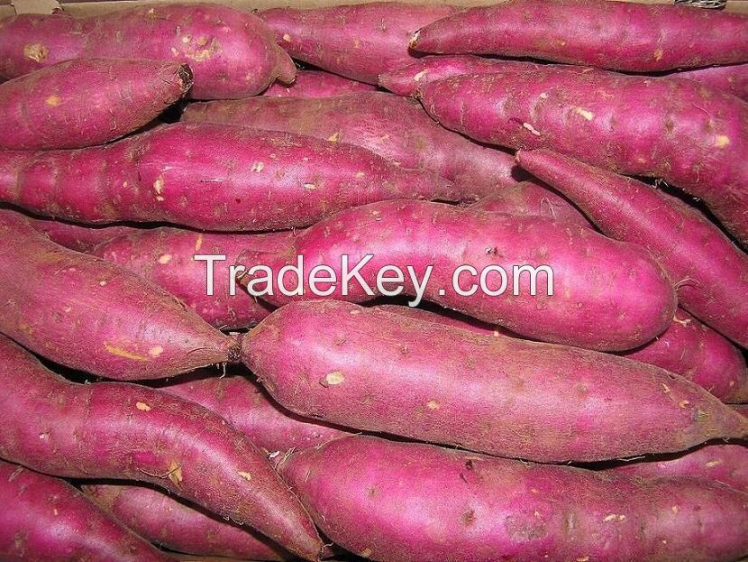 Fresh Sweet Potatoes