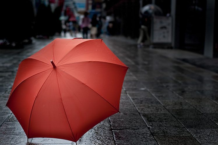 Stylish Umbrella for B2B Sales