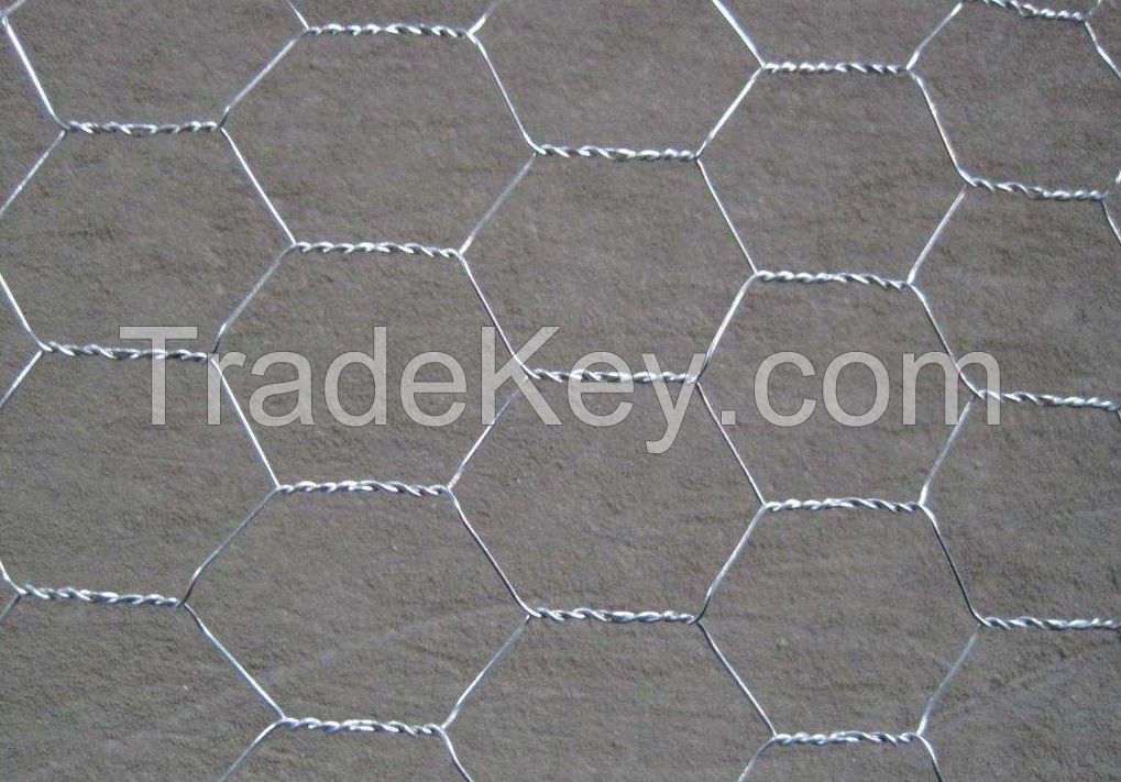 Galvanized Hexagonal Wire Mesh Good Price Home Use