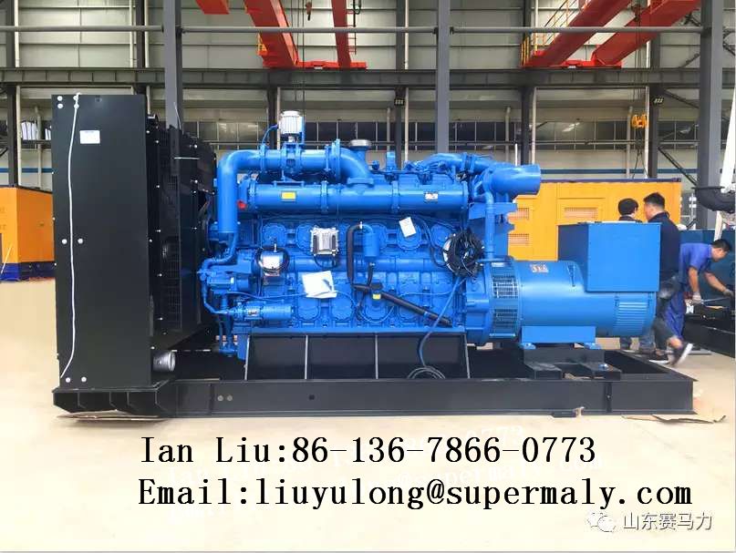 Customized 500kw gas generator with YUCHAI engine