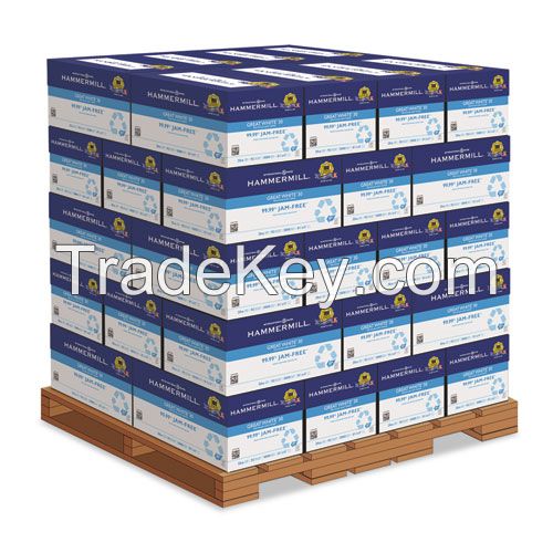 Double A , Xerox , Navigator , Paper One , Goldpaper , Chamex and Multipurpose Paper Etc.
