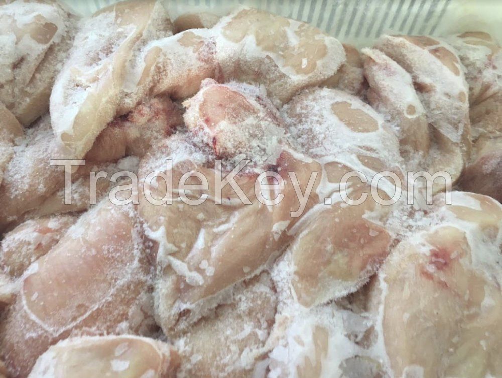 Frozen Halal Chicken Breast Meat Skinless Boneless