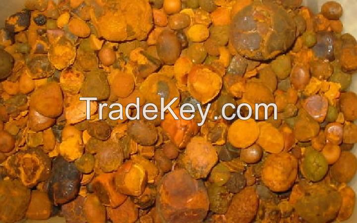 Ox Gallstones / Cattle Gallstones / Cow Gallstones