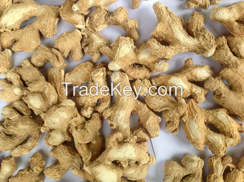Premium Quality Dry Ginger and fresh Ginger For Export